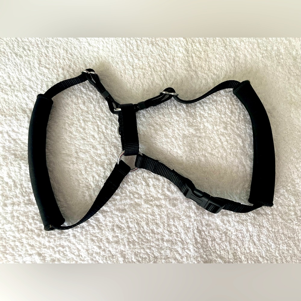 Small dog harness